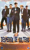 Despedida de Solteiro