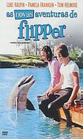 As Novas Aventuras Flipper