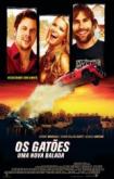 Os Gatoes uma Nova Balada