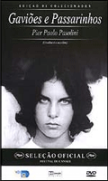Gavioes E Passarinhos