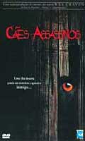 Cães Assassinos