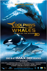 Dolphins And Whales Tribes Of The Ocean 3d