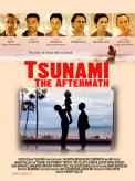Tsunami the Aftermath