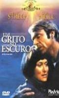 Um Grito no Escuro