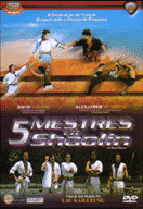 5 Mestres de Shaolin