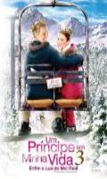 Um Principe em Minha Vida 3 Enfim a Lua de Mel Real
