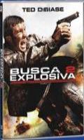 Busca Explosiva 2