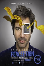 Perception Primeira Temporada