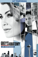Greys Anatomy Decima Quarta Temporada