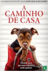 A Caminho De Casa