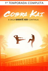 Cobra Kai Primeira Temporada