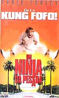 Um Ninja Da Pesada