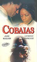 Cobaias